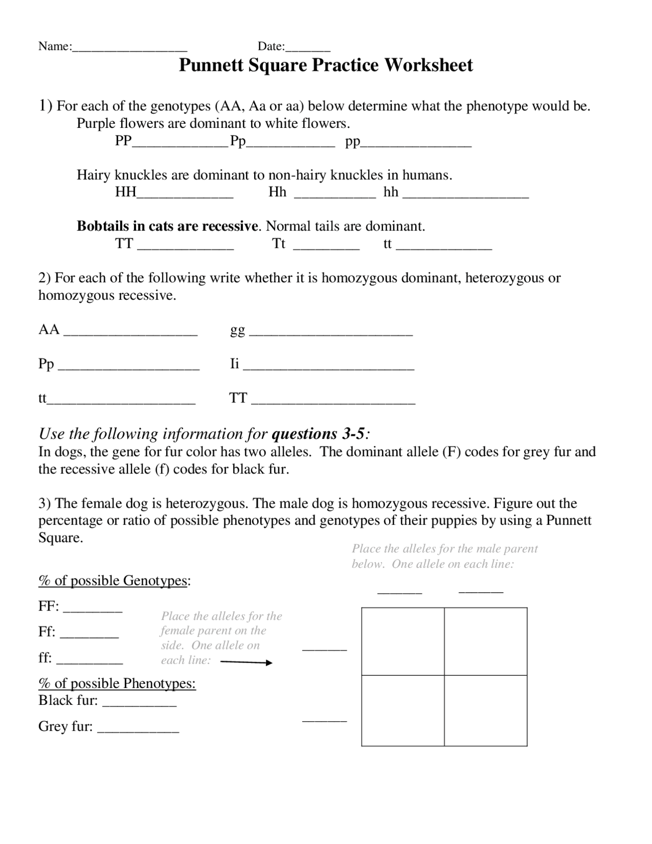 50+ Best Punnett Square Worksheet Answers 74