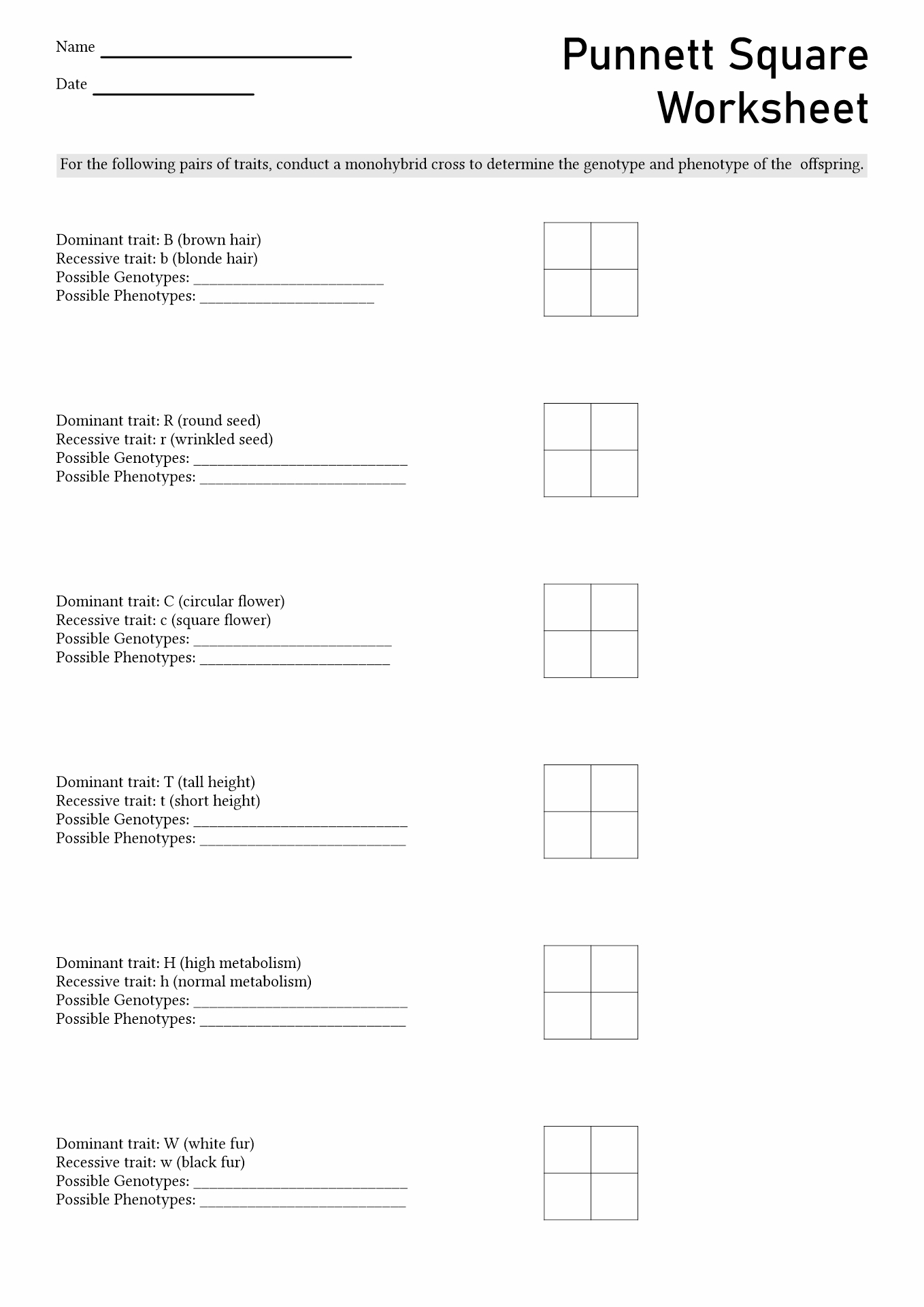 50+ Best Punnett Square Worksheet Answers 79