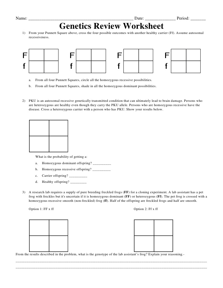 50+ Best Punnett Square Worksheet Answers 8