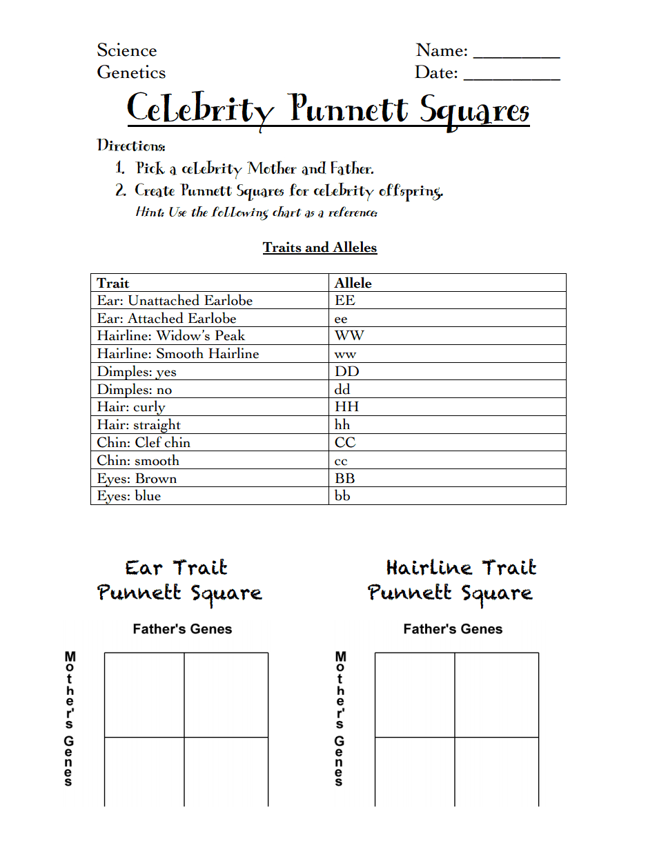 50+ Best Punnett Square Worksheet Answers 82