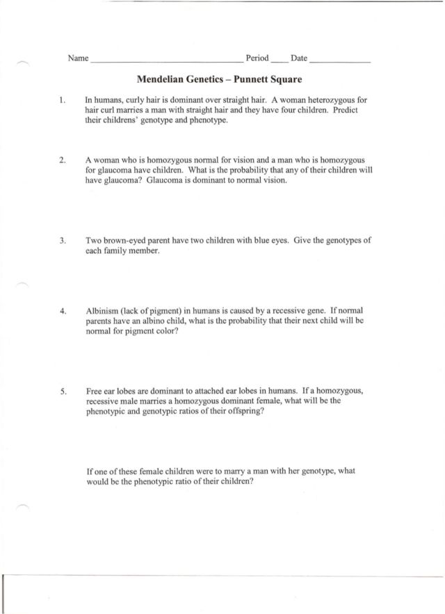 50+ Best Punnett Square Worksheet Answers 85