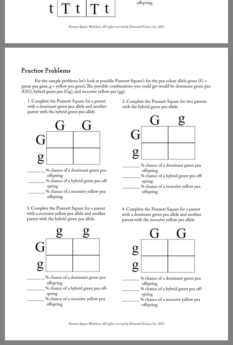 50+ Best Punnett Square Worksheet Answers 86