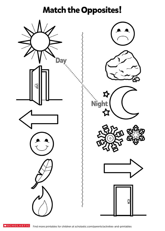 Scientific Method Worksheet Pdf 100