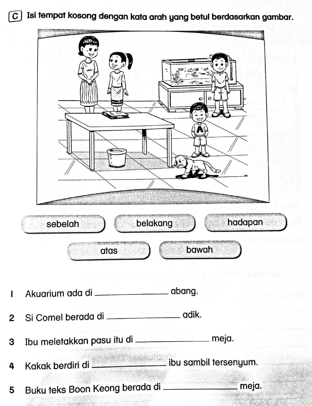 Scientific Method Worksheet Pdf 14