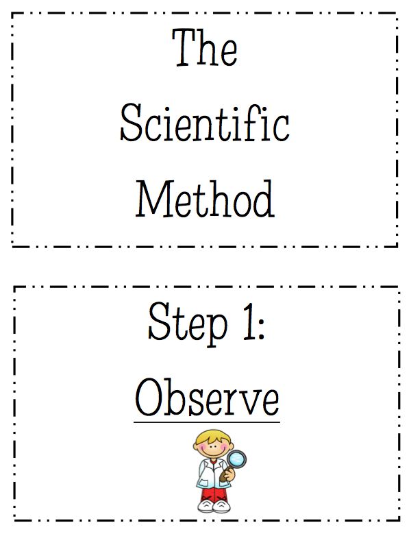 Scientific Method Worksheet Pdf 34