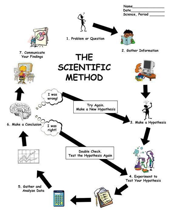 Scientific Method Worksheet Pdf 40