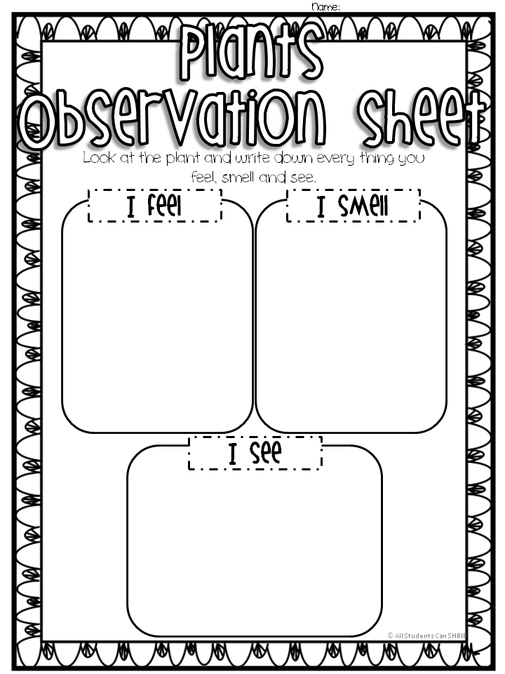 Scientific Method Worksheet Pdf 49