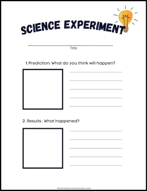 Scientific Method Worksheet Pdf 51