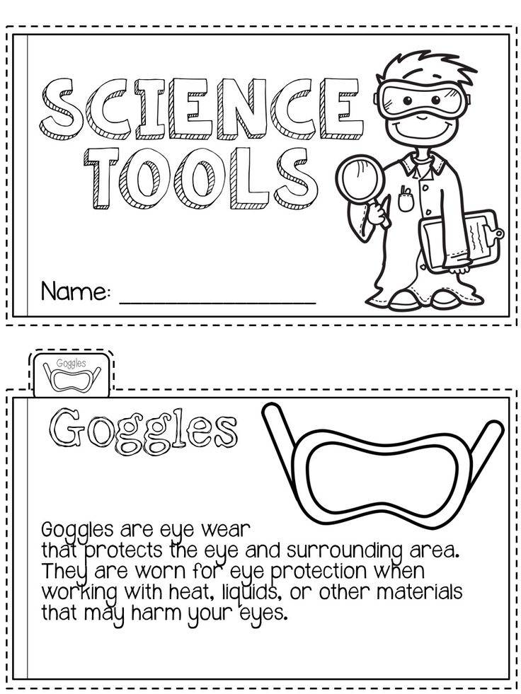 Scientific Method Worksheet Pdf 61