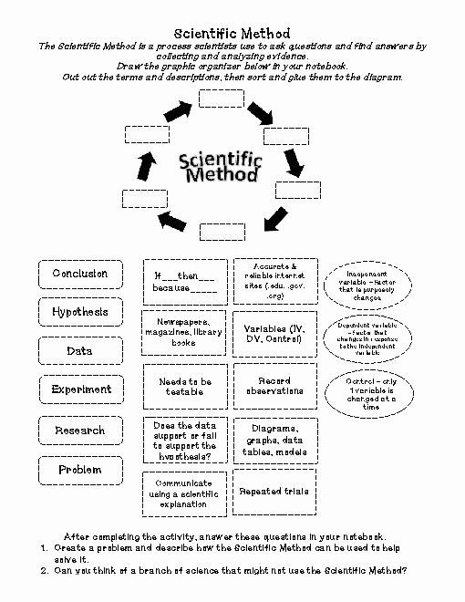 Scientific Method Worksheet Pdf 96