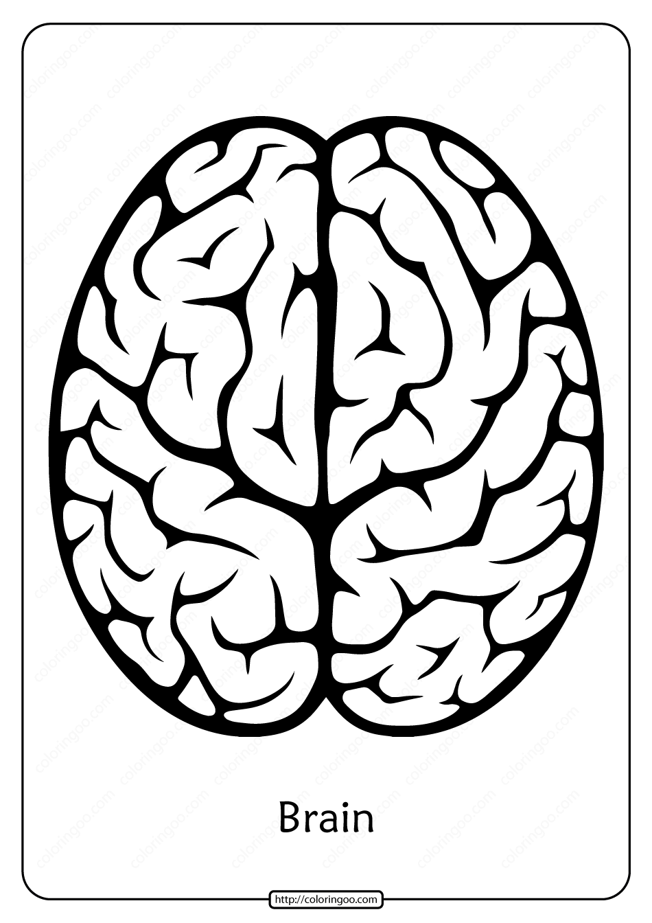 Scientific Method Worksheet Pdf 99