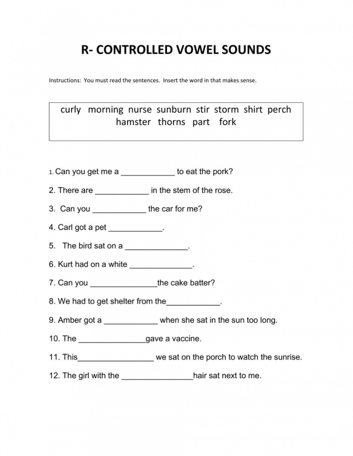 50 Vowel Controlled R Worksheets 19