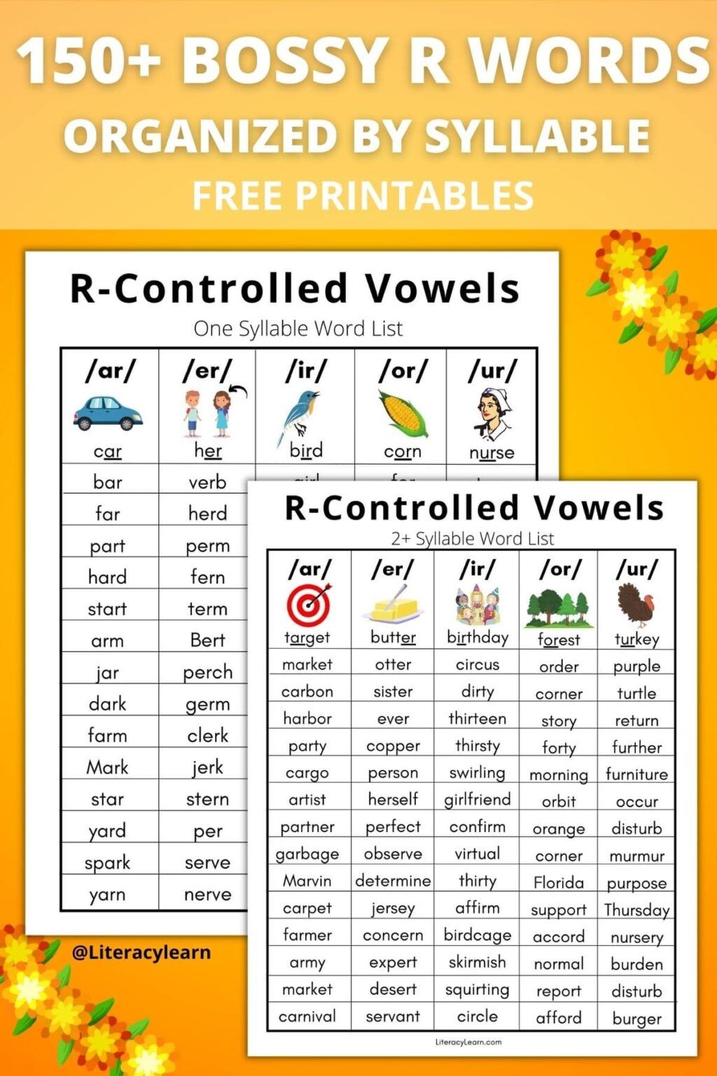 50 Vowel Controlled R Worksheets 30