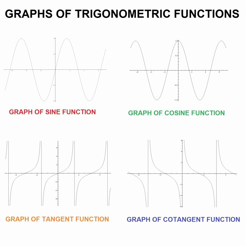 61 Graphing Trig Functions Worksheet 60