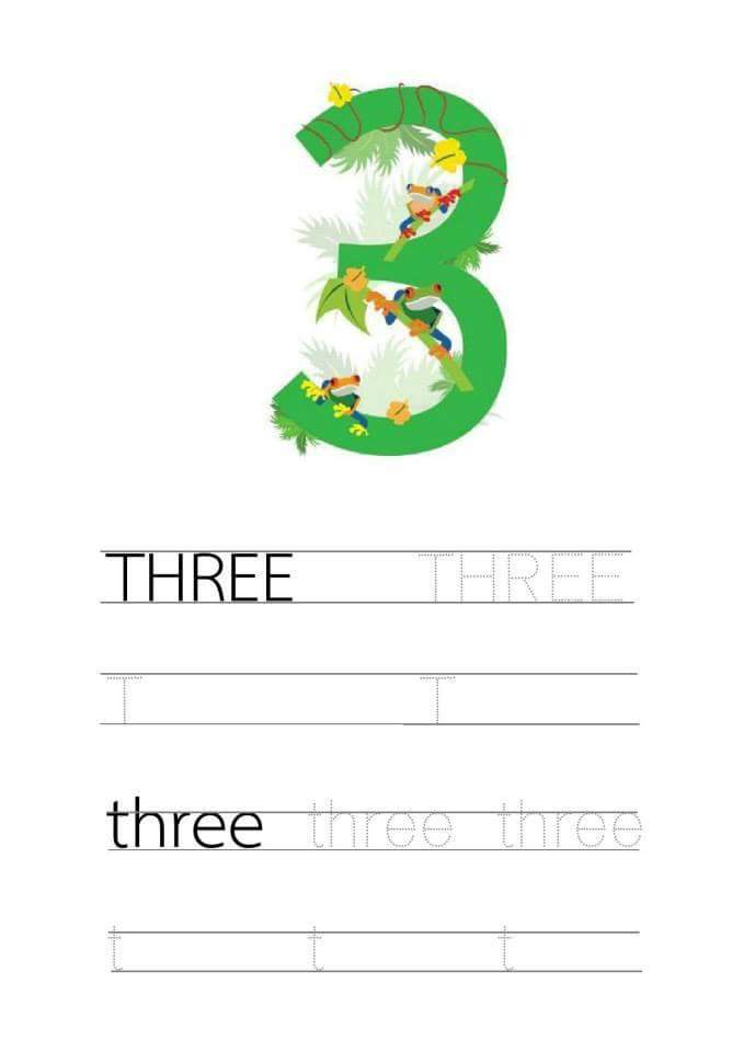 50 Number 3 Worksheet Preschool 62