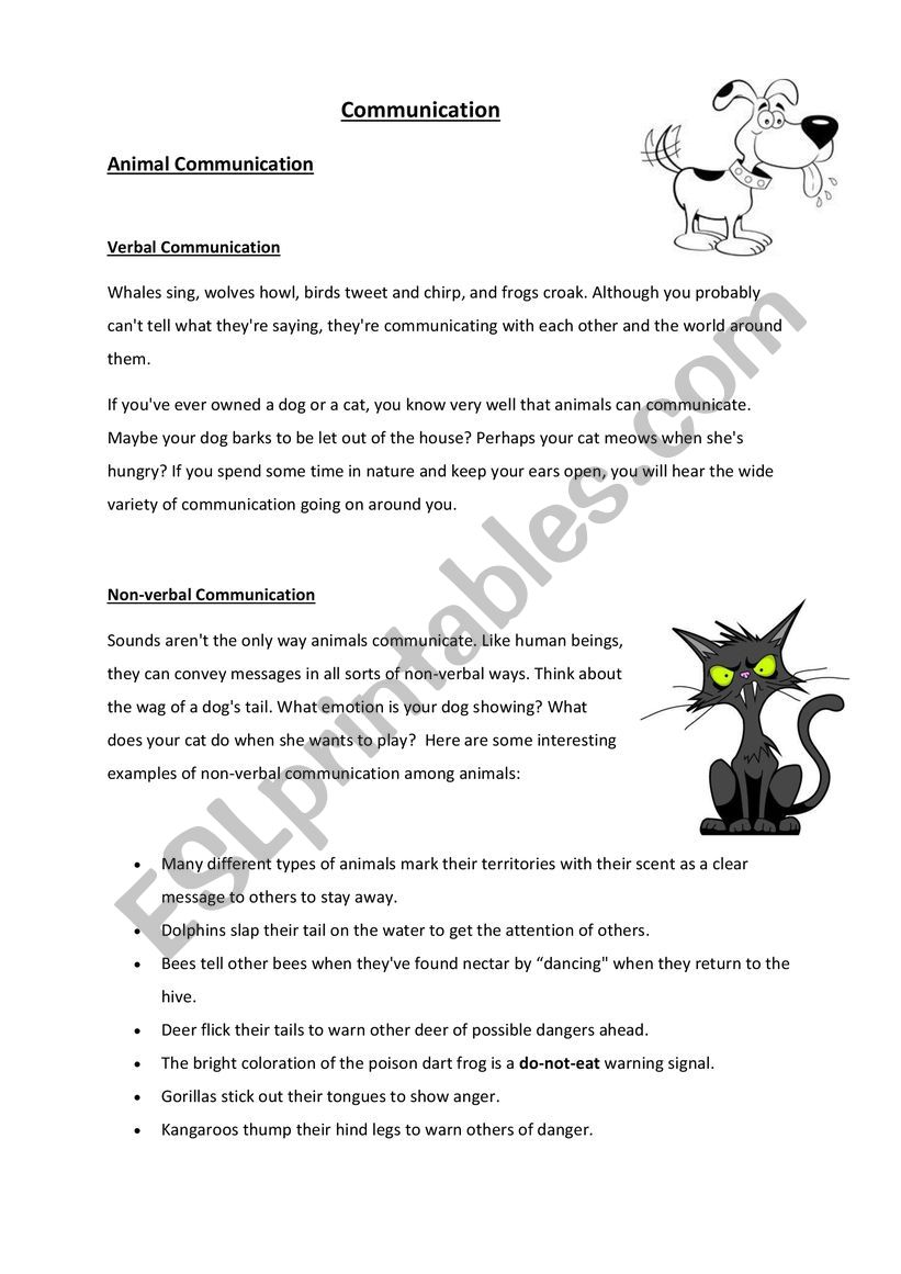 Get 50 Non Verbal Communication Worksheets 25