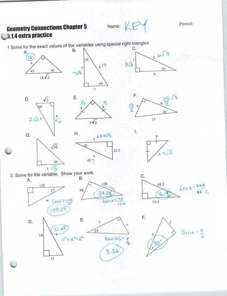 80 Printable Similar Right Triangles Worksheet 49