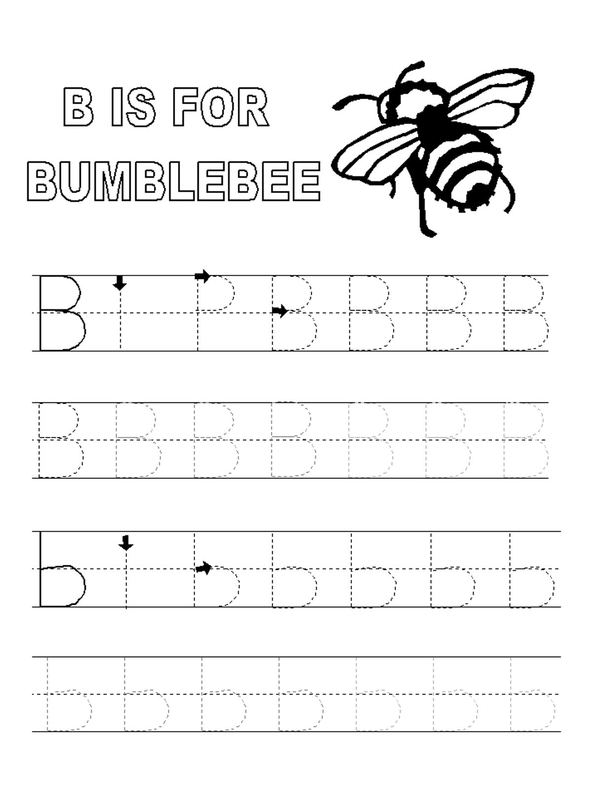 90 Letter B Tracing Worksheets 3