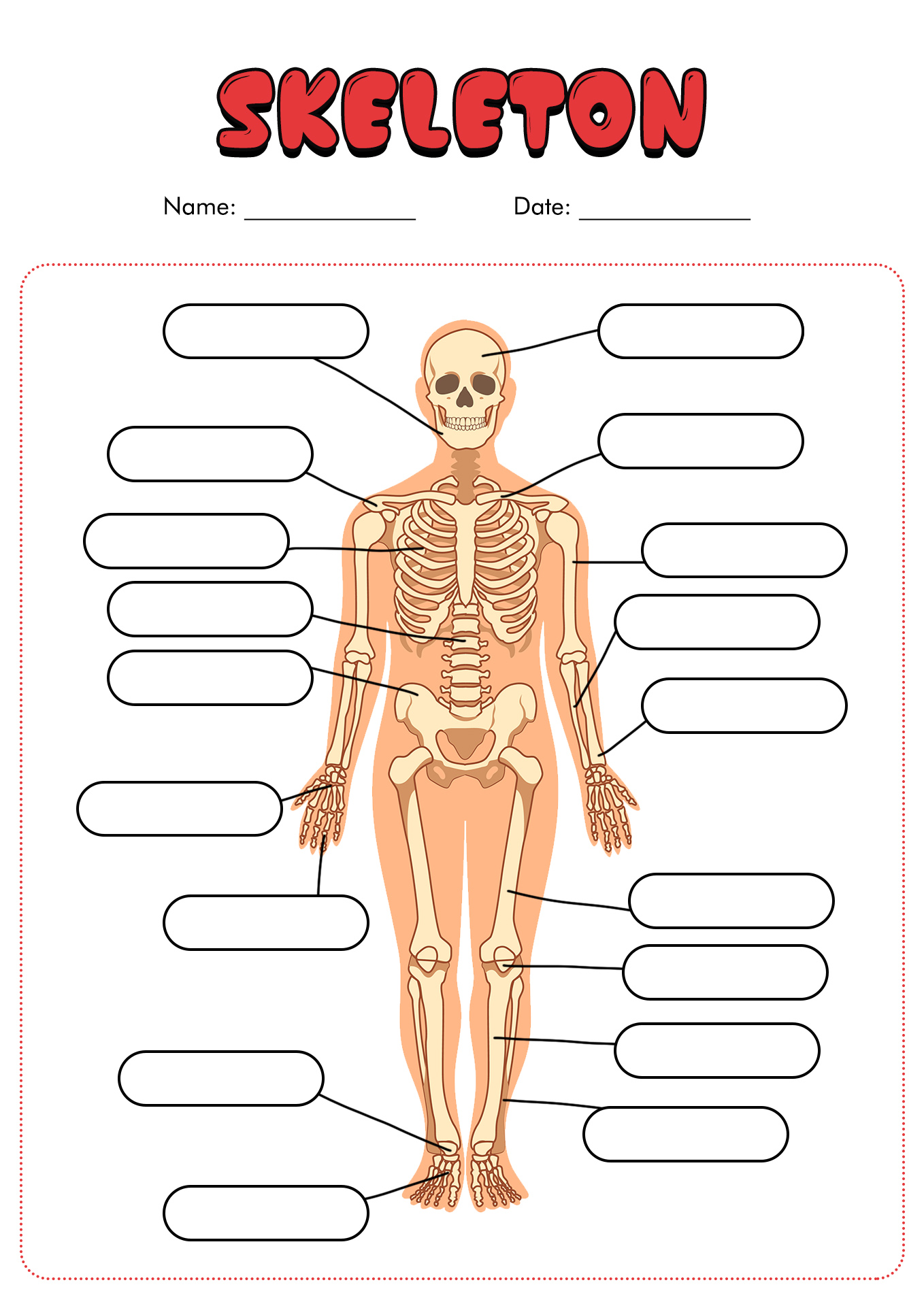 90 Printable Label The Skeleton Worksheet 1