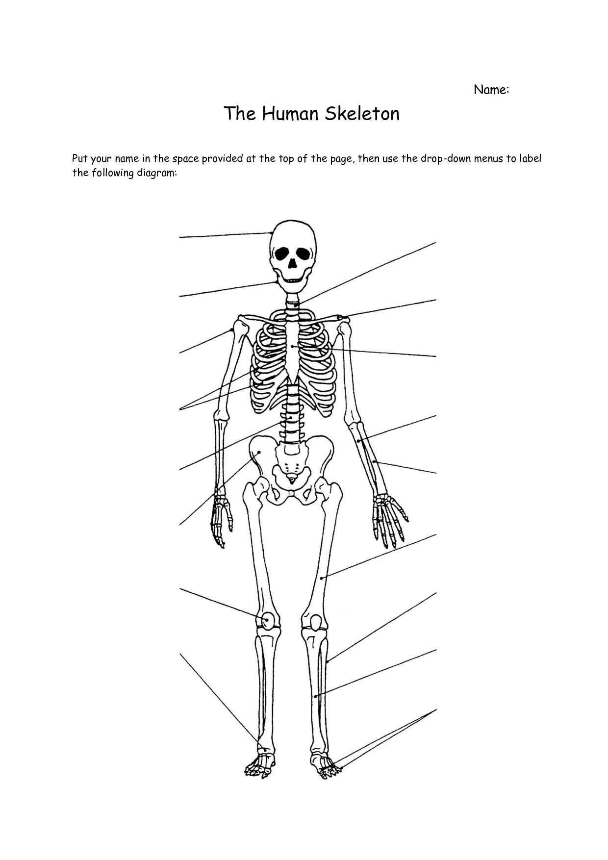 90 Printable Label The Skeleton Worksheet 27