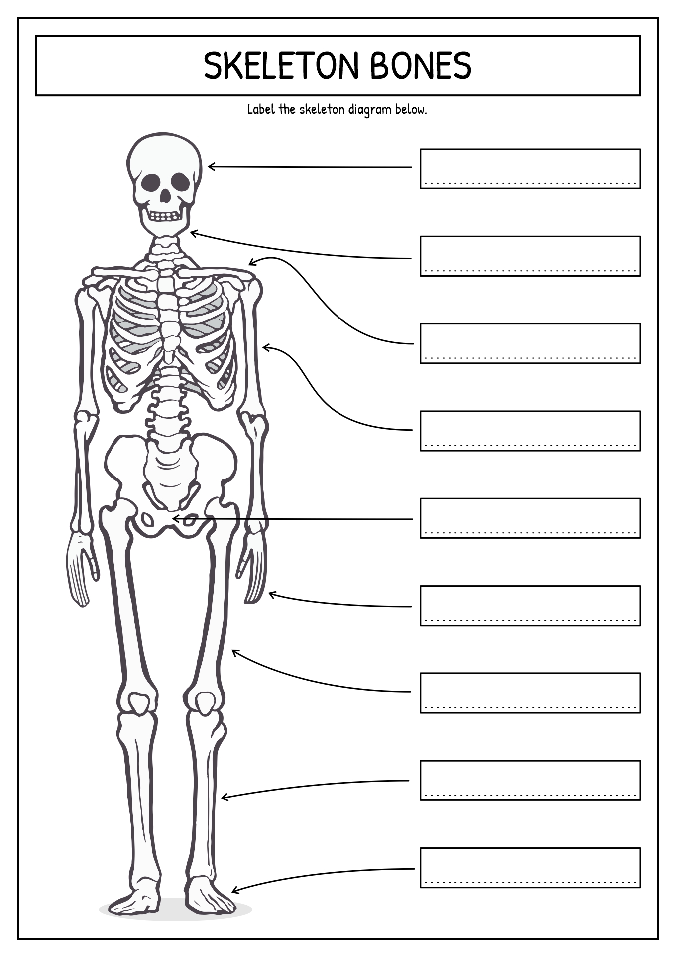 90 Printable Label The Skeleton Worksheet 48