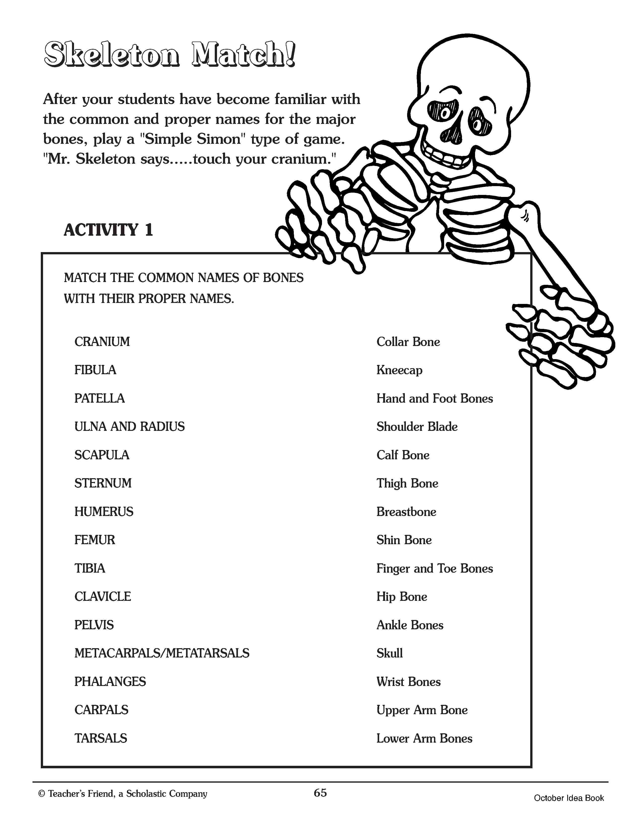 90 Printable Label The Skeleton Worksheet 55