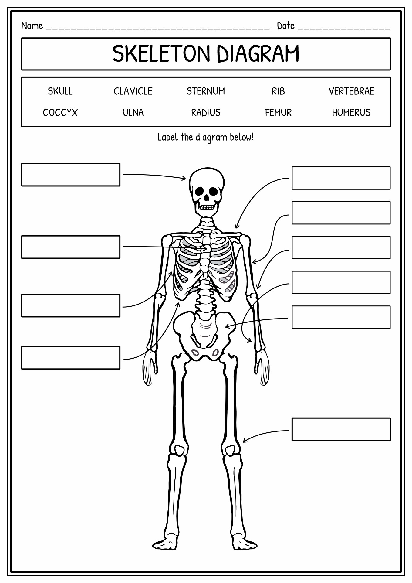 90 Printable Label The Skeleton Worksheet 65