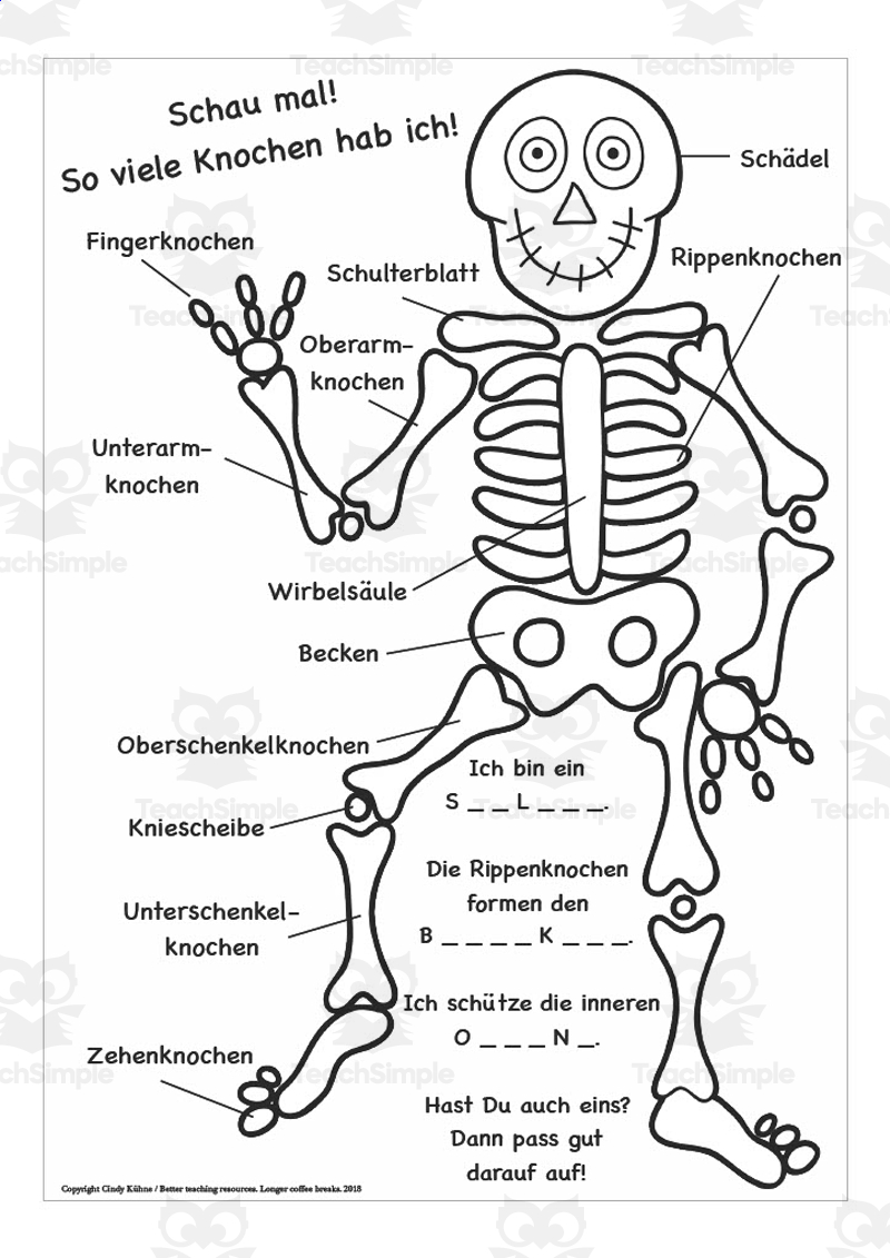 90 Printable Label The Skeleton Worksheet 69