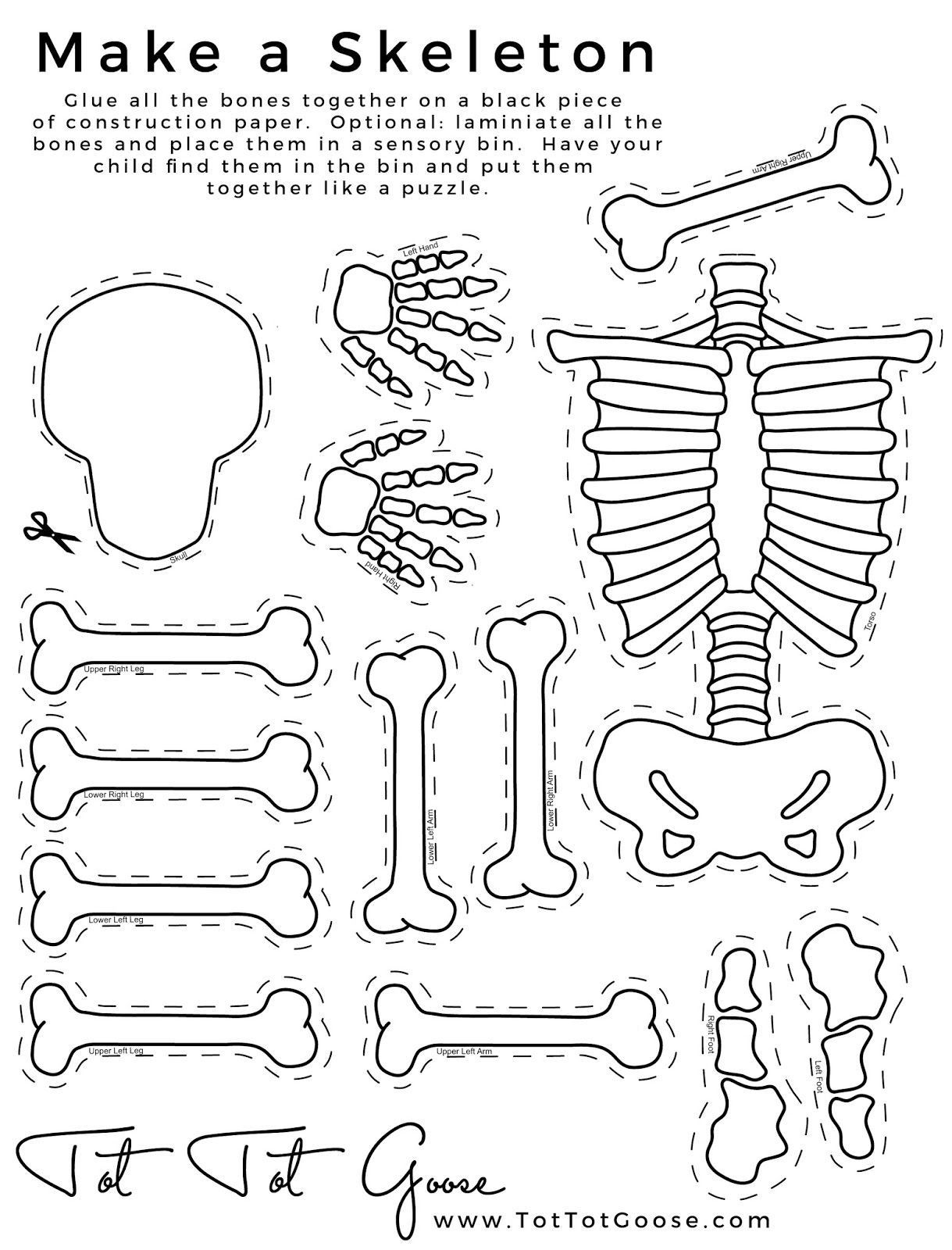 90 Printable Label The Skeleton Worksheet 88