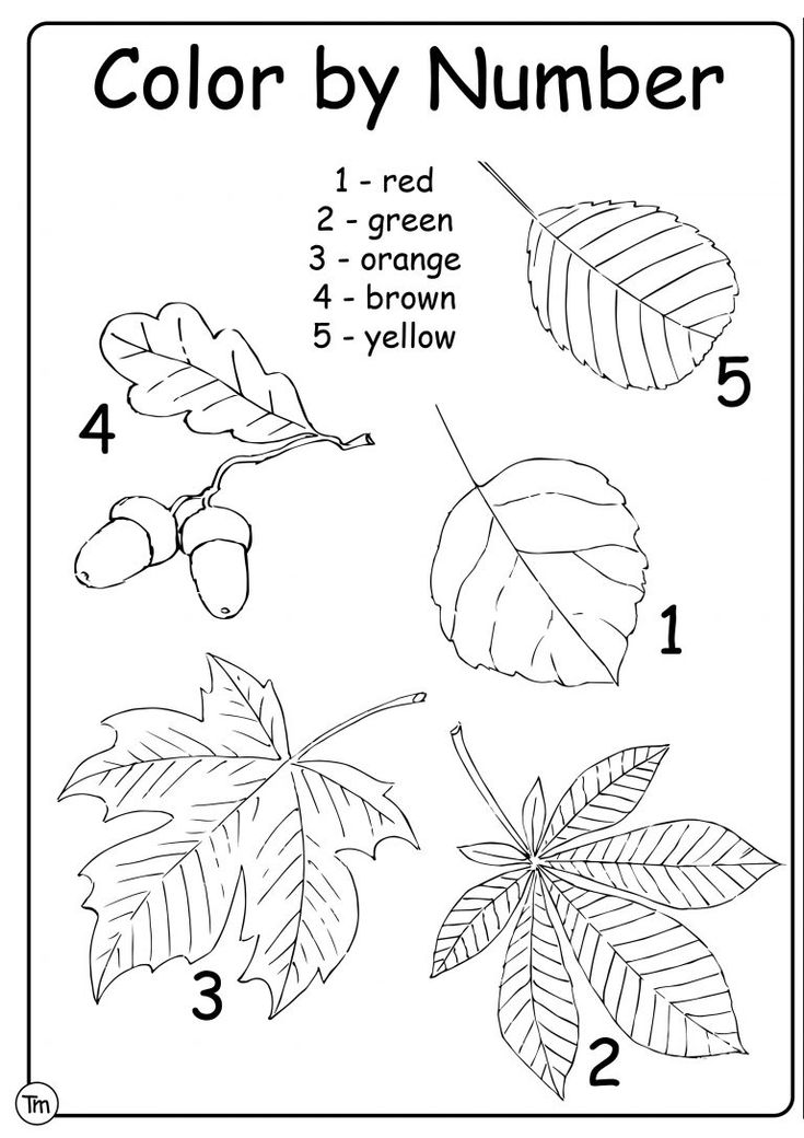 Get 85 Spring Leaves Worksheet Ideas 22