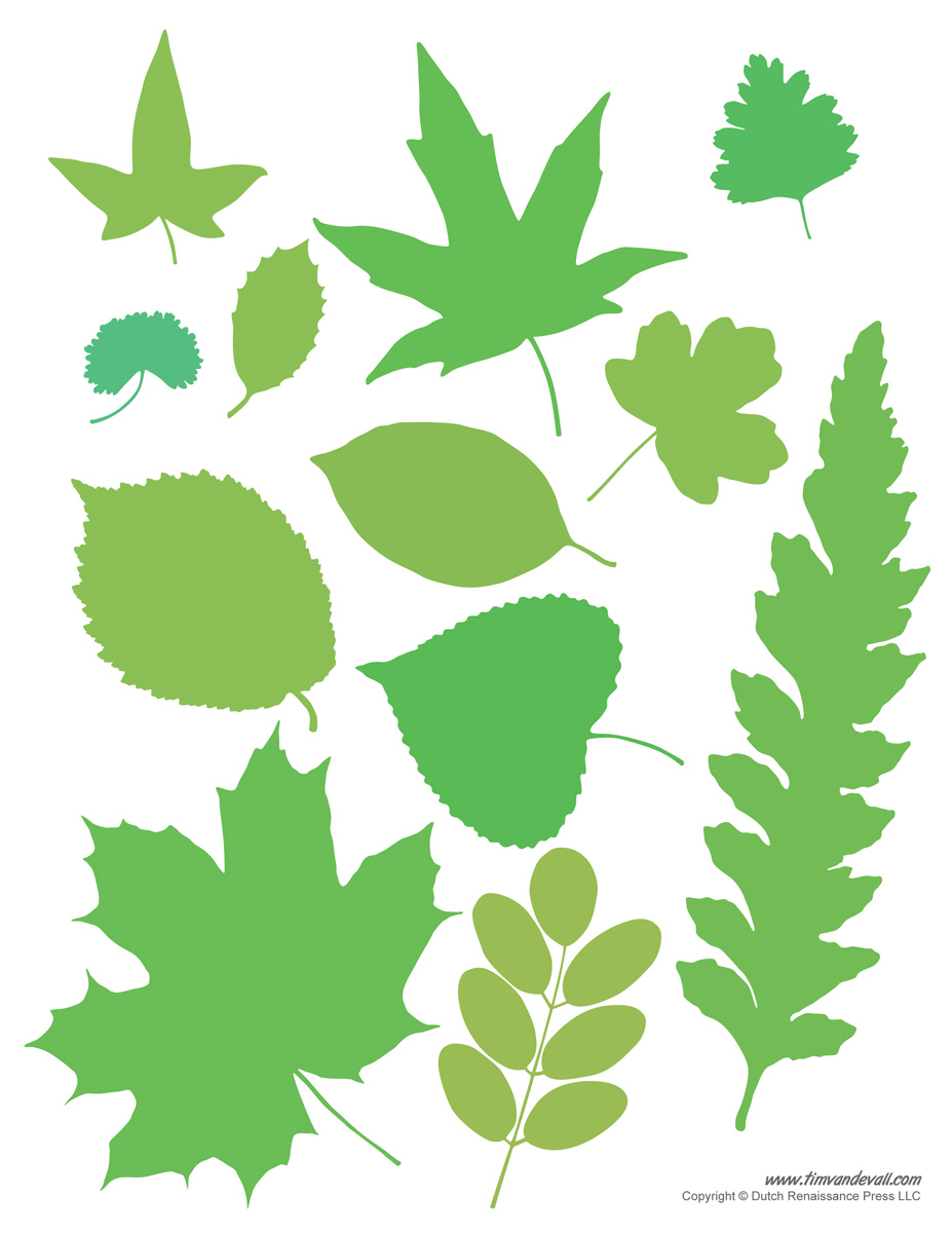 Get 85 Spring Leaves Worksheet Ideas 49