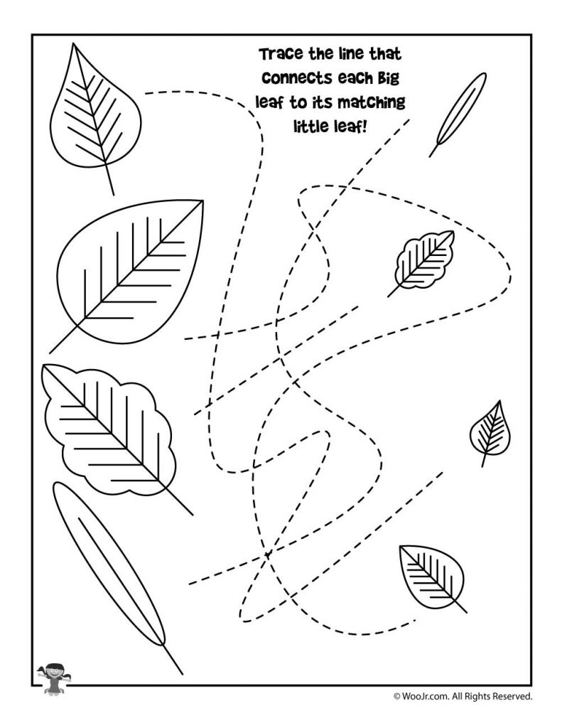 Get 85 Spring Leaves Worksheet Ideas 61