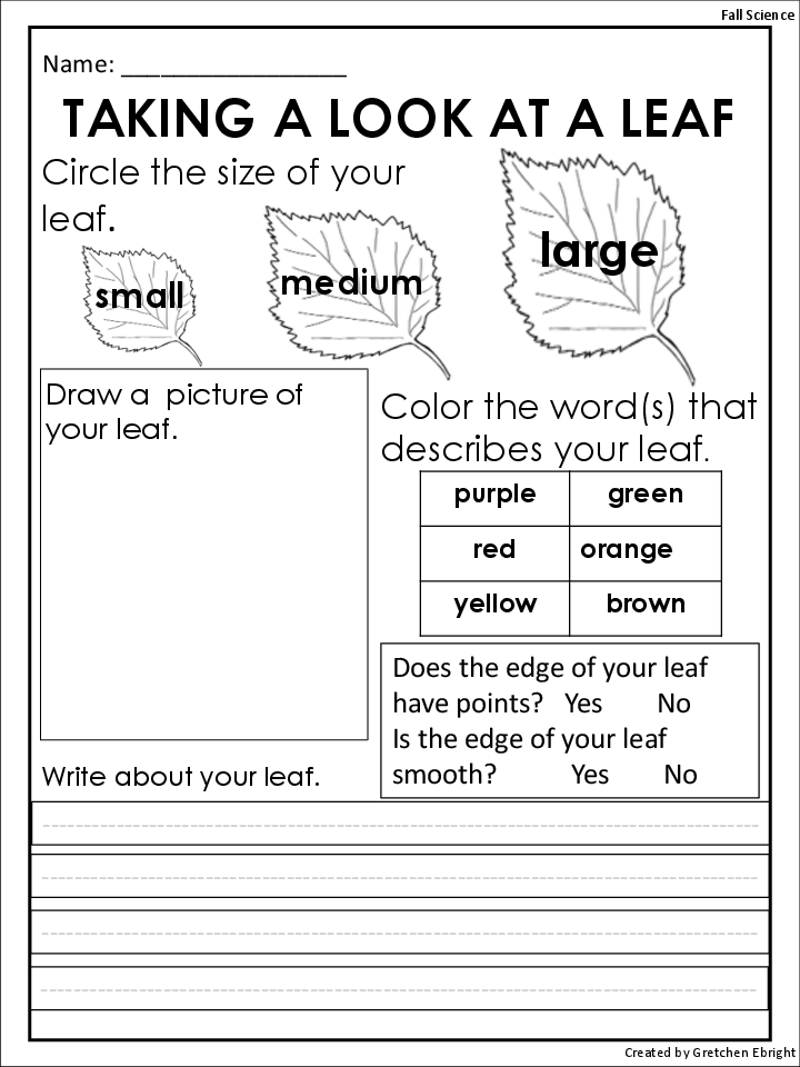 Get 85 Spring Leaves Worksheet Ideas 68