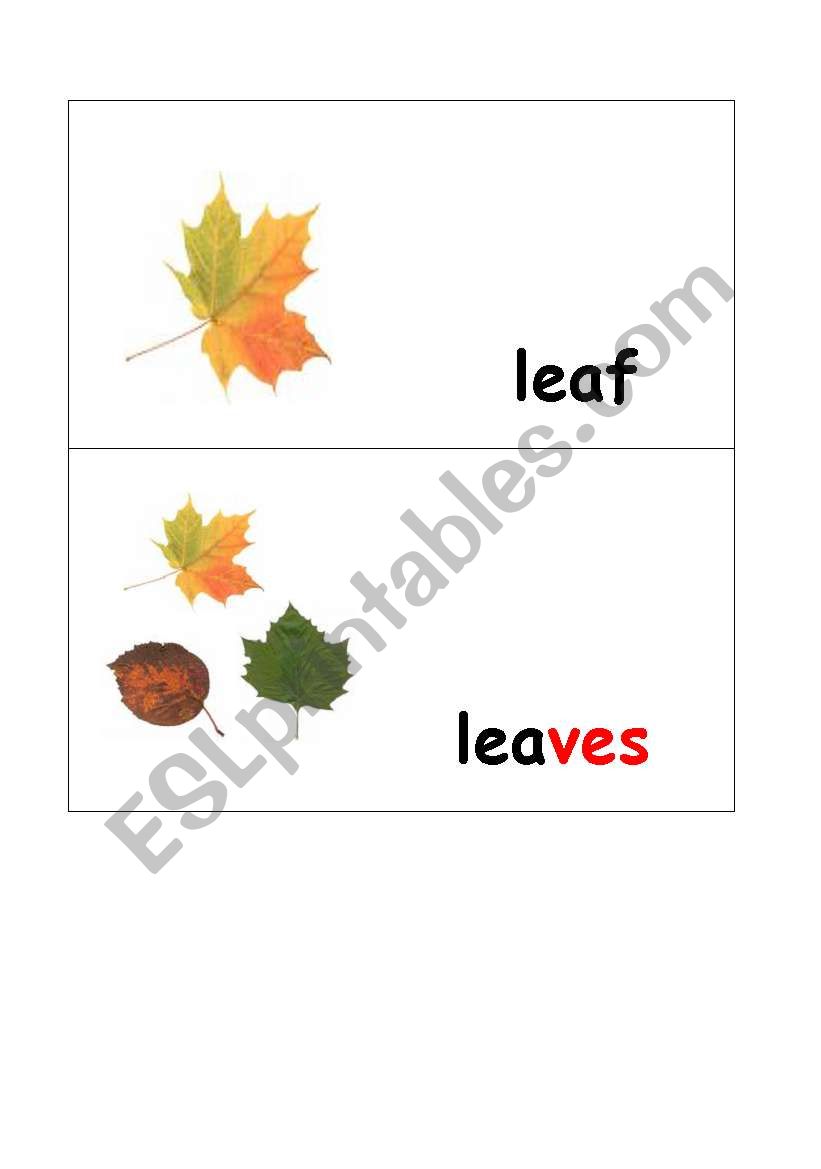 Get 85 Spring Leaves Worksheet Ideas 78