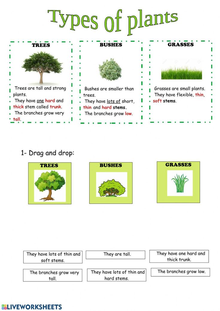 Get 85 Spring Leaves Worksheet Ideas 85