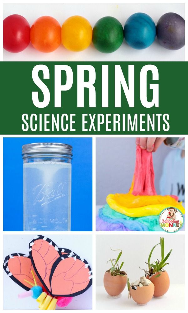 Get 85 Spring Science Worksheet 11