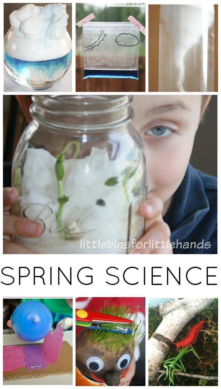 Get 85 Spring Science Worksheet 12