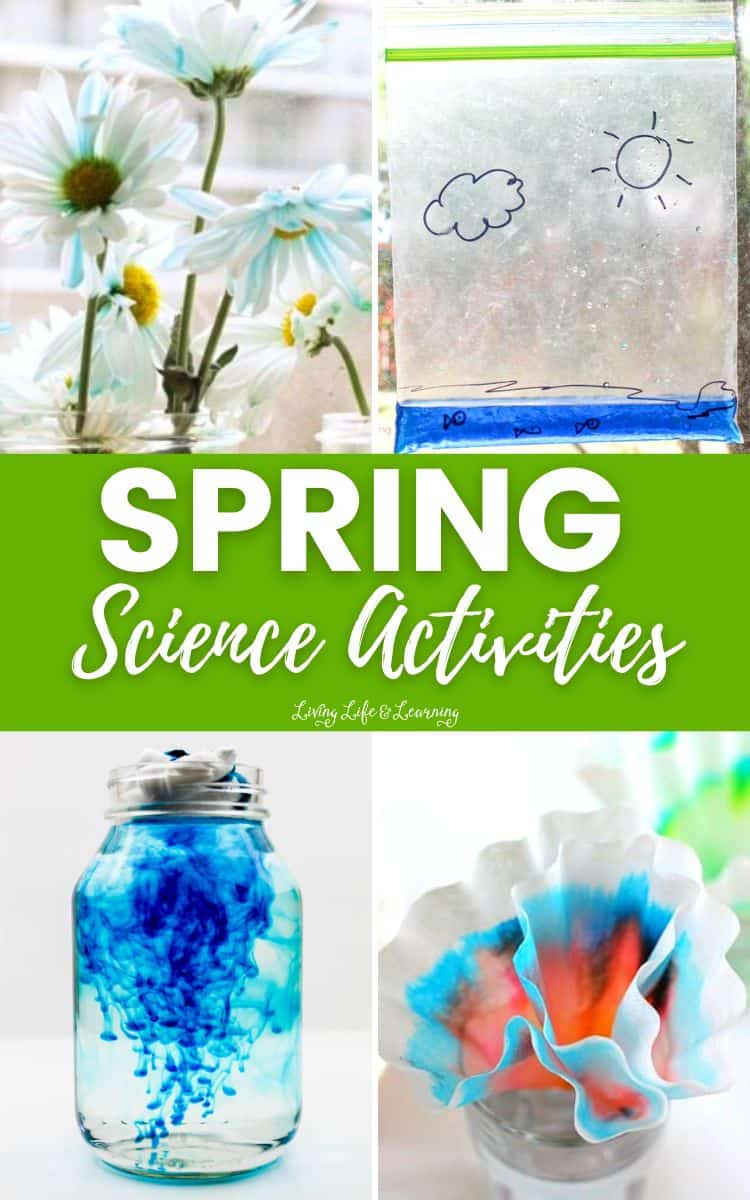 Get 85 Spring Science Worksheet 16