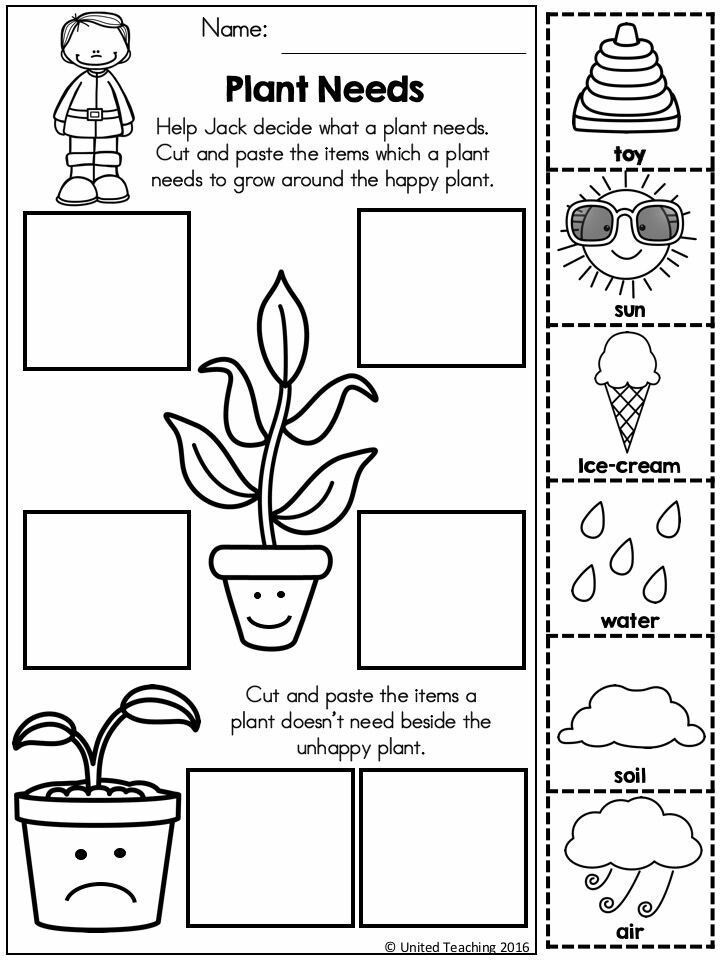 Get 85 Spring Science Worksheet 19