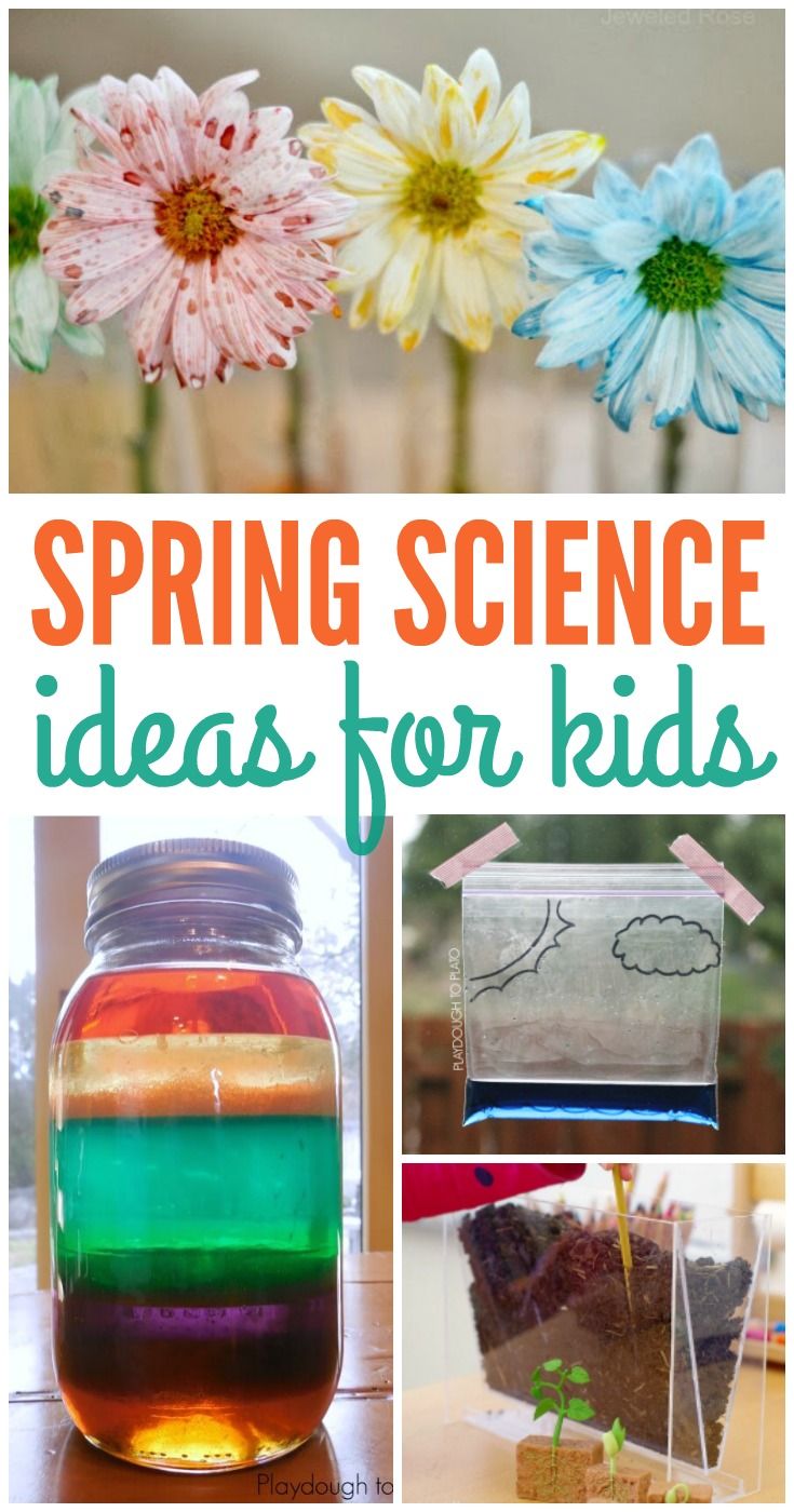 Get 85 Spring Science Worksheet 2