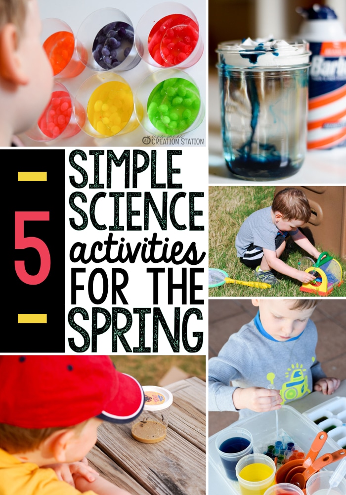 Get 85 Spring Science Worksheet 25