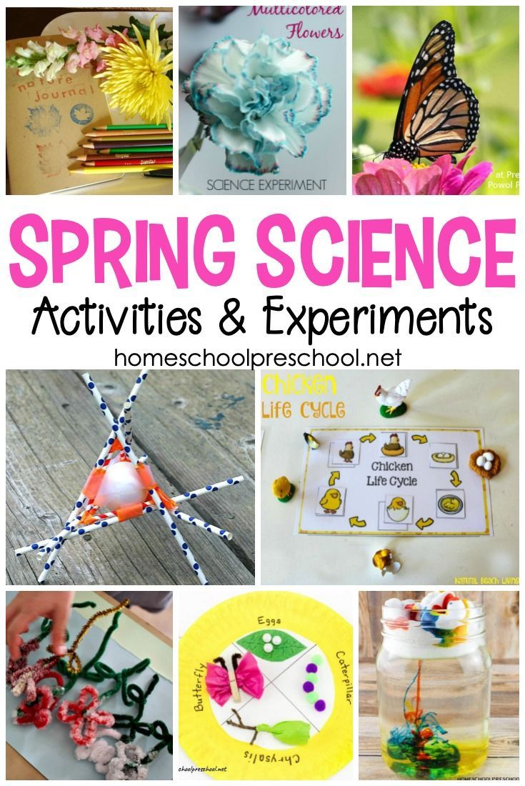 Get 85 Spring Science Worksheet 26