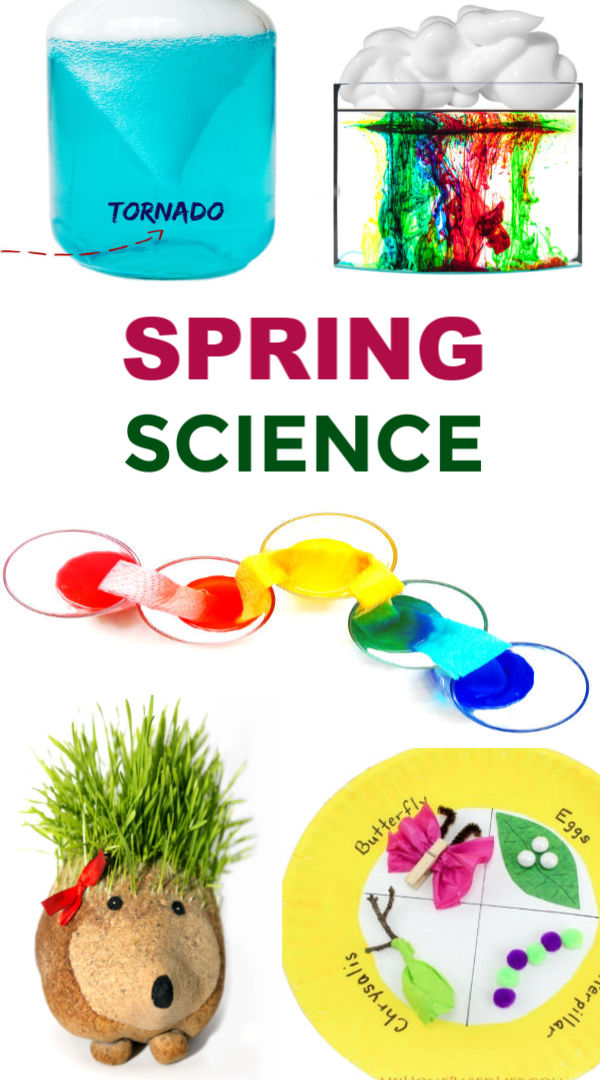 Get 85 Spring Science Worksheet 27