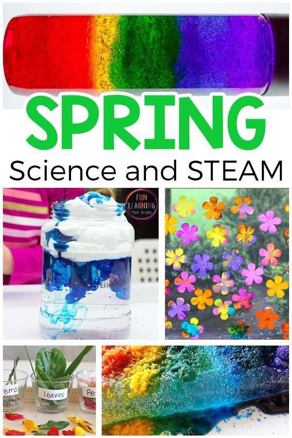 Get 85 Spring Science Worksheet 28