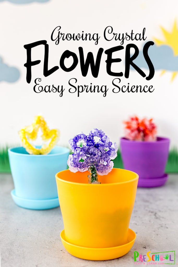 Get 85 Spring Science Worksheet 30