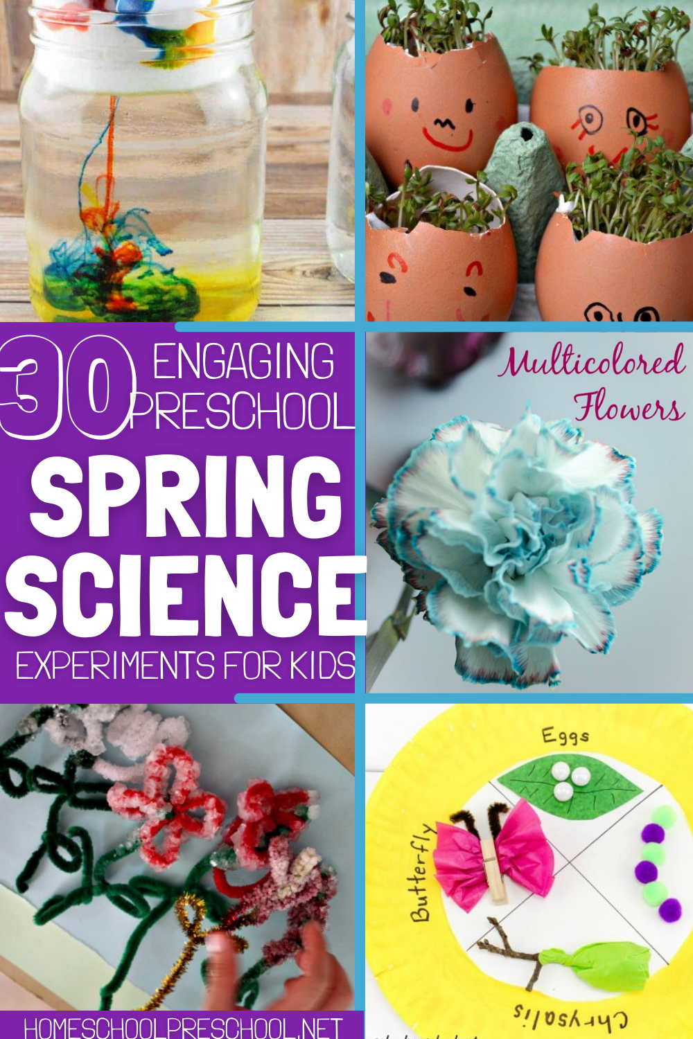 Get 85 Spring Science Worksheet 31