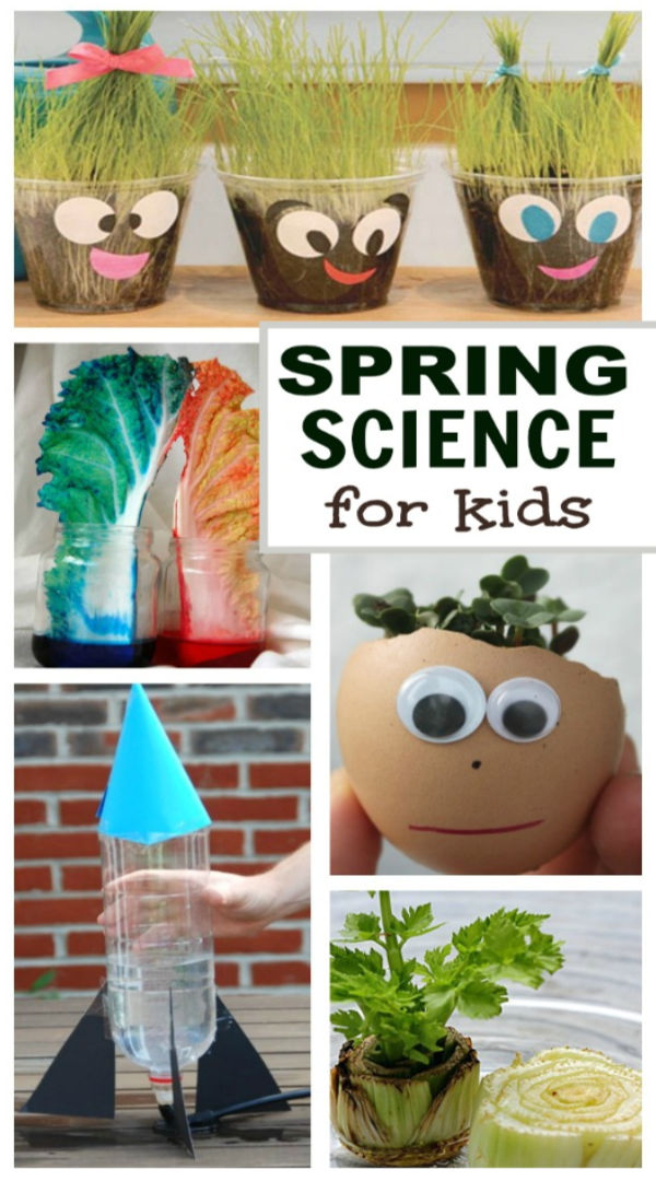 Get 85 Spring Science Worksheet 33