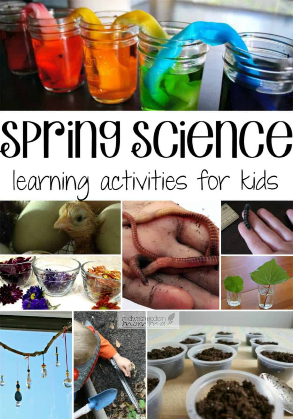 Get 85 Spring Science Worksheet 47