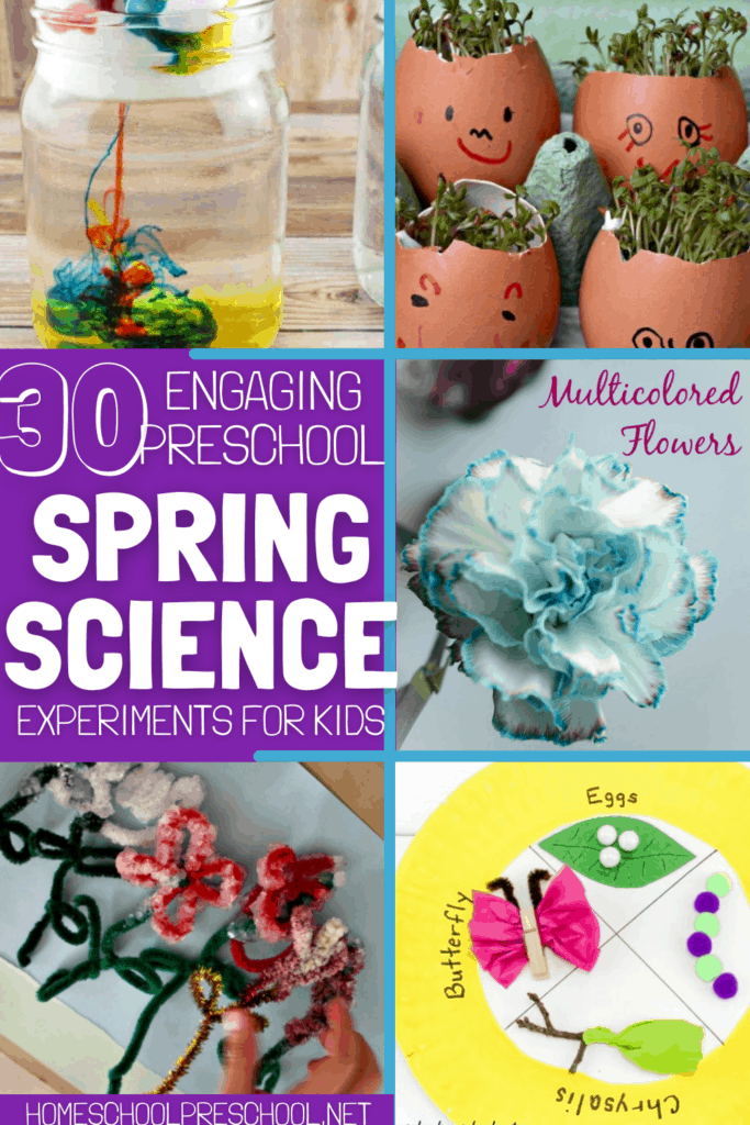 Get 85 Spring Science Worksheet 48