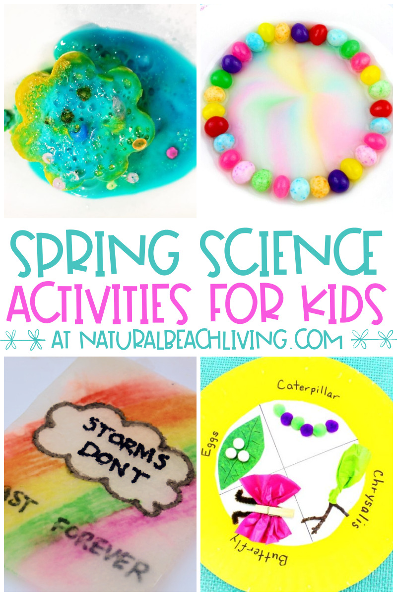 Get 85 Spring Science Worksheet 50